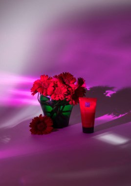Shampou ayini, yeşil vazodaki parlak kırmızı gerberalar, çok renkli ışınlar, hayat dolu, Sevgililer Günü için güzellik hediyesi, Belçika, 23 Mart 2021, yüksek kaliteli fotoğraf
