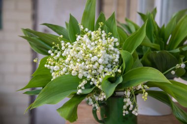 Kırsal tarzda, yeşil mayalı nilüferlerle dolu vadi çiçekleriyle, arka plandaki ahşap duvarlara karşı narin çiçeklerle, yüksek kaliteli fotoğraflarla.