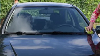 Orta yaşlı sarışın, uzun saçlı, ön camı mikrofiber süngerle temizliyor, yüksek kalite 4K görüntü.