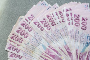 Gri kadife bir masanın üzerine, 200 Türk lirası, gayrimenkul satın almak için gereken para, nakit para ve nakit olmayan ödemelere geçmek üzere kalın bir yığın Türk lirası serildi.