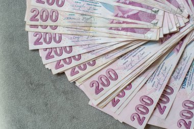 Gri kadife bir masanın üzerine, 200 Türk lirası, gayrimenkul satın almak için gereken para, nakit para ve nakit olmayan ödemelere geçmek üzere kalın bir yığın Türk lirası serildi.