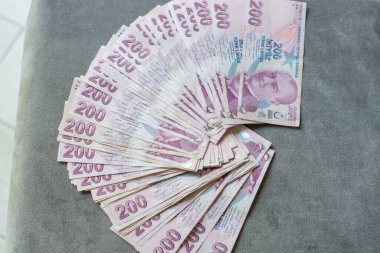 Gri kadife bir masanın üzerine, 200 Türk lirası, gayrimenkul satın almak için gereken para, nakit para ve nakit olmayan ödemelere geçmek üzere kalın bir yığın Türk lirası serildi.