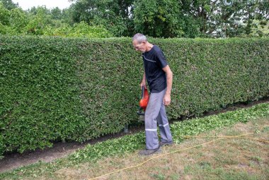 Erkek bahçıvan arka bahçesinde elektrikli çit biçme makinesiyle dikenli çalıları buduyor, yorgunluktan dolayı duraksıyor, yeni bir yere ağır bir budama makinesi taşıyor.