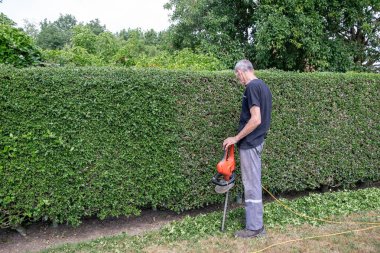 Erkek bahçıvan bahçesinde elektrikli çit biçme makinesiyle dikenli çalıları buduyor. Yorgunluktan duraklıyor ve budama makinesine yaslanıyor.,