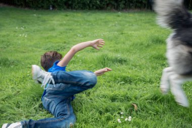 Güçlü köpek mutlu bir şekilde koşuyor ve çocuğun üzerinden atlıyor. Parlak yeşil çayırlarda uzanıyor, güneşli bir yaz gününde ortak oyun anlarının tadını çıkarıyor. Hareket bulanıklığı. 