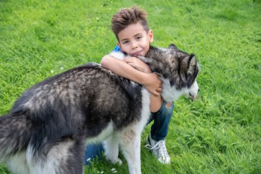 Okullu çocuk bahçesindeki yemyeşil çimlerin üzerinde diz çöker. Sevecen Sibirya Husky 'sine yumuşak, kalın kürküyle sarılarak evcil hayvanıyla arasındaki özel bağı sembolize eder.,