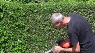 Bahçede elektrikli çit budayıcı ile dikenli çalıları buduyor. Sıcak, güneşli bir günde, bahçe işlerinin keyfini çıkarıyor.,
