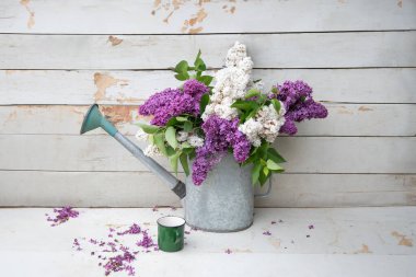 8 Mart bayramından önce bahar havası eskimiş ahşap bir masada büyük bir su kutusunda beyaz ve mor leylak çiçeklerinin kırsal sakin yaşamı.,