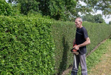 İş kıyafetleri içinde bahçıvan dikenli çitleri buduyor, arka bahçede elektrikli çit biçme makinesiyle dekoratif dikenli çit, ağır bahçe aletlerini elle kaldırıyor.,