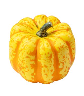 Kabak çeşitleri Kabak Kutlaması, turuncu ve koyu turuncu çizgili küçük sarı, meyveler parlak ve dekoratif, beyaz arka planda izole, sonbahar dekorasyonu ve mutfak kullanımı için ideal.,