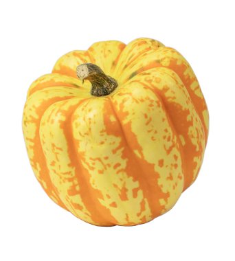 Turuncu çizgili parlak sarı balkabağı, çeşitli 