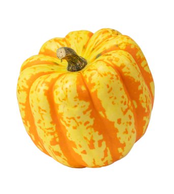 Turuncu çizgili parlak sarı balkabağı, çeşitli 