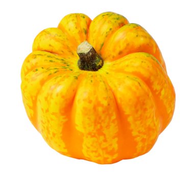 Kabak çeşitleri Kabak Kabağı Kabağı geniş turuncu çizgili sarı balkabağı, beyaz arka planda izole edilmiş süs meyvesi, Şükran Günü dekorasyonu ve mutfak kullanımı, bakış açısı