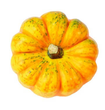 Balkabağı çeşitleri kabak kabağı - geniş turuncu çizgili göbekli sarı balkabağı, beyaz arka planda izole edilmiş süs meyvesi, Şükran Günü dekorasyonu ve mutfak kullanımı için, üst görünüm,
