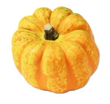 Kabak çeşitleri, kabak kabağı geniş turuncu çizgili sarı balkabağı, şeffaf arkaplanda izole edilmiş süs meyvesi, Şükran Günü dekorasyonu ve mutfak kullanımı, bakış açısı.,