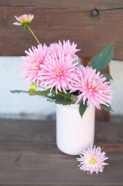 Kırsal ahşap bir bankta duran eski bir vazoda duran pembe yıldız çiçekleri büyüleyici bir natürmort oluşturur.,