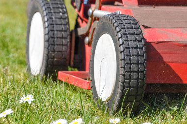 Güneşli bir günde, çim biçme makinesinin tekerlekleri yosunları temizler ve çimenleri biçer.,