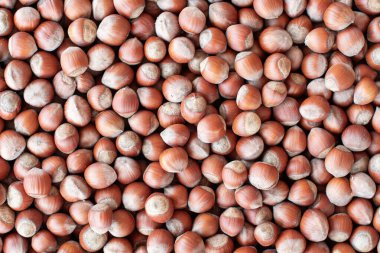 Yüzeye saçılmış bir sürü fındık sağlıklı beslenme, abur cubur ve pişirme konseptleri için desenli gıda arka planı oluşturur..