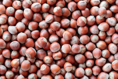 Yakın plan, birçok fındık yüzeye dağılmış sağlıklı beslenme, abur cubur ve büyük hasat gibi yiyecek kavramları için dokulu bir gıda arka planı oluşturur.