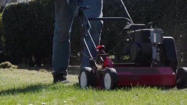 Bahçıvan çimenlikteki yosunları temizlemek için korkunç şeyler kullanır. Önündeki arabayı iterek çalışır. Parlak güneşli bahar günlerinde mevsimlik bahçıvanlık yaparak sağlığını ve görünümünü geliştirir.,