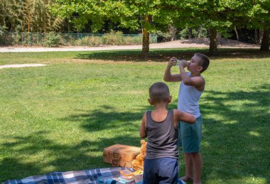 Two young boys having an outdoor picnic experience on lush green grass, one boy drinking water to quench thirst during a warm sunny day, promoting hydration and healthy lifestyle