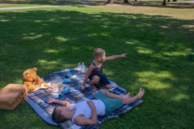 Two young brothers enjoy a casual summer picnic on a plaid blanket in a sun-drenched green park, One boy is resting, the other is pointing ahead