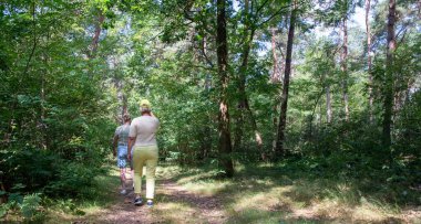 Two senior women hiking a sunlit forest trail, walking side by side through green foliage and tall trees, enjoying active outdoor exercise, friendship, and summer wellness
