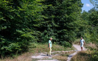 Mature couple walking on a rural trail surrounded by lush green trees and vegetation, enjoying the sunny weather during a summer hike, actively pursuing fitness and relaxation in nature