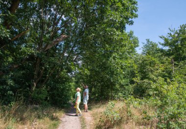 Senior couple standing on a shaded forest path, looking up into the canopy of green trees, man pointing towards something of interest, and woman observing with him