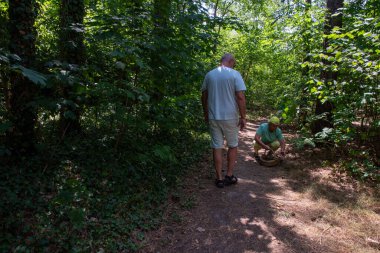 Senior couple enjoying a relaxing outdoor activity, foraging for mushrooms in a lush forest during summer, walking along a dirt path with sunlight illuminating the green foliage