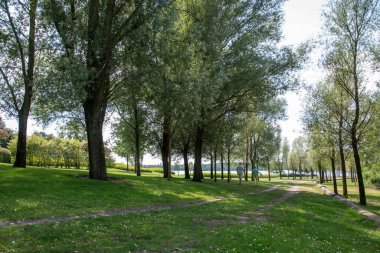 Çimenli bir yolda yürüyen bir çift, sakin bir yaz öğleden sonrası, sakin bir göl manzarasıyla, boş zamanlarını ve doğal kaçışlarını somutlaştırarak, ağaçların arasında yürüyor.