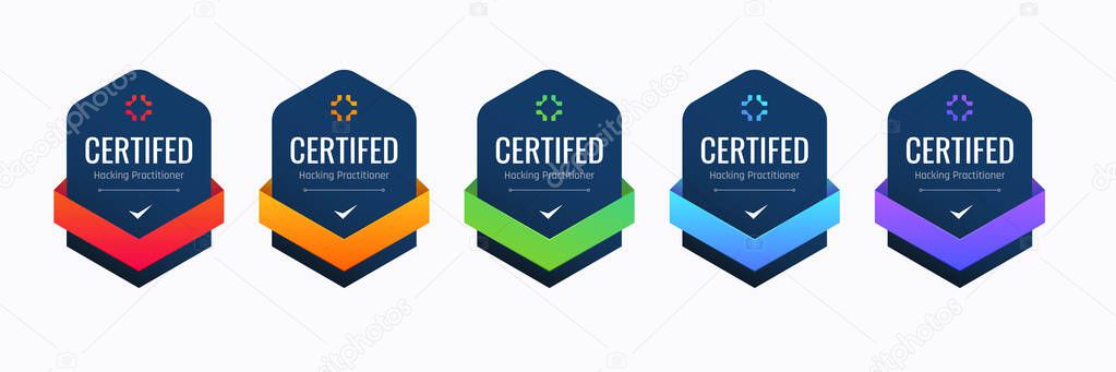 Certified Badge Design for Hacking Practitioner. Professional Computer Security Certifications Based on Criteria.