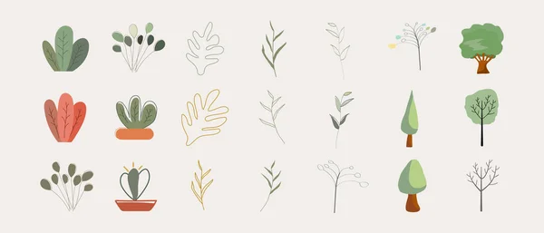 Set Élément Décoratif Végétal Illustration Vectorielle Conception Plantes Intérieur Art — Image vectorielle