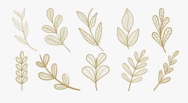 Estetik zarafet ve lüks yaprak kırsal çizgi tarzı sanat. Eski el çizimi düğün çerçevesi dekorasyonunu terk eder.