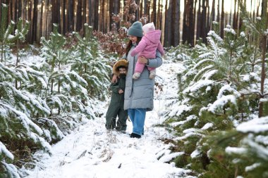Yavru kızını kucaklayan bir anne, karla kaplı çam ağaçlarıyla çevrili ormanda yürürken oğluna elini uzatır..
