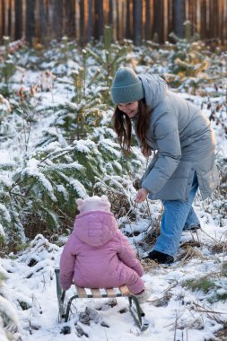 Anne gün batımında küçük kızını karlı bir ormanda kızağa çekiyor..