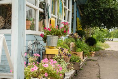 Marketin yakınındaki bir çiçekçi dükkanında çok sayıda dekoratif ve güzel kokulu bitkiler var.
