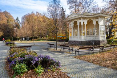 Taş yığınları, Güney yamacı, kaplıca kasabası Jesenk, Jeseniky dağları, Çek Cumhuriyeti