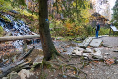 Şelale, Bila Opava nehri, spa şehri Karlova Studanka, Jeseniky dağları, Çek Cumhuriyeti