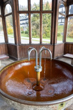  Sanatoryum, spa kenti Karlova Studanka, Jeseniky dağları, Çek Cumhuriyeti