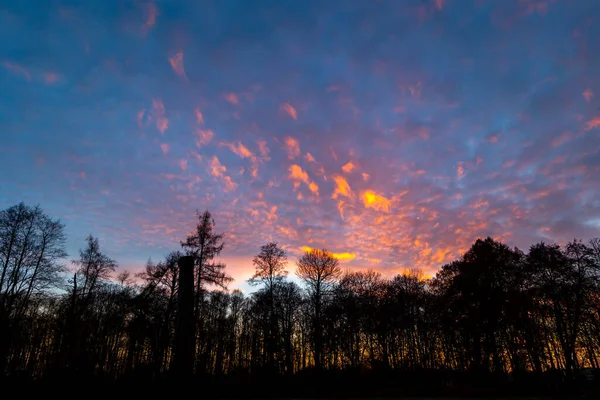 Kolorowe Dramatyczne Niebo Podczas Zachodu Słońca Nad Drzewami Parku Ciemne — Zdjęcie stockowe