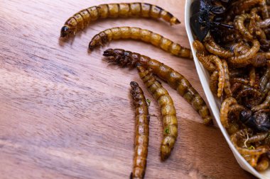 Ahşap kesme tahtasının üzerinde kızarmış ahşap kurtları ve kurtçuklar. Beslenme düzeninde protein kaynağı olarak kızarmış böcekler..