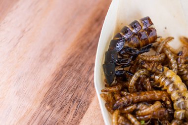 Kızarmış ahşap kurtçuklar, yemek solucanları ve tahta kesme tahtasında hamamböceği. Beslenme düzeninde protein kaynağı olarak kızarmış böcekler..