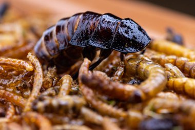 Kızarmış ahşap kurtçuklar, yemek solucanları ve tahta kesme tahtasında hamamböceği. Beslenme düzeninde protein kaynağı olarak kızarmış böcekler..