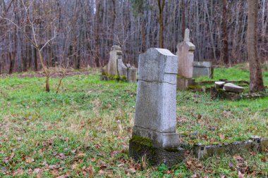 Terk edilmiş ve bakımsız bir mezarlıkta mezar taşı kalıntıları. Ulusal azınlıklar ve onların hafızası