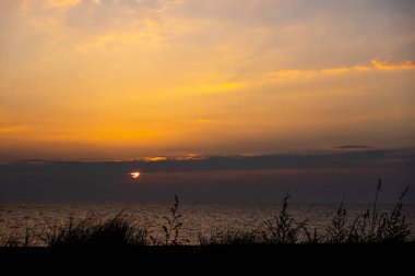 Gün batımında denizin üzerinde turuncu gökyüzü. Ön plandaki deniz otlarının koyu çizgileri..