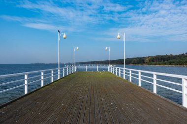 Deniz kıyısındaki ahşap iskelede oturan martılar. Fotoğraf güneşli bir günde çekildi.