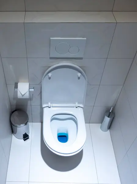 View White Toilet Bowl Toilet Bathroom Finished White Glaze Tiles ストック画像