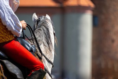 Tarihi bir at binicisi eylemi sırasında bir at binicisinin kırmızı pantolonunun yakın çekimi. Fotoğraf, güneşli bir günde öğle vakti çekildi..