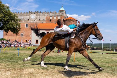 Golub Dobrzyn, Polonya, Masovia Voyvoda, 7 Temmuz 2023. Atın üstünde tarihi zırh giyen ağır silahlı bir şövalye. Fotoğraf, güneşli bir günde bir şövalye turnuvası sırasında çekildi..